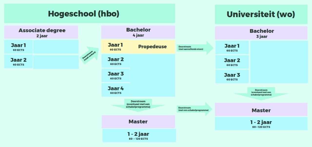 Bachelor Of Master? - Studiekeuze123