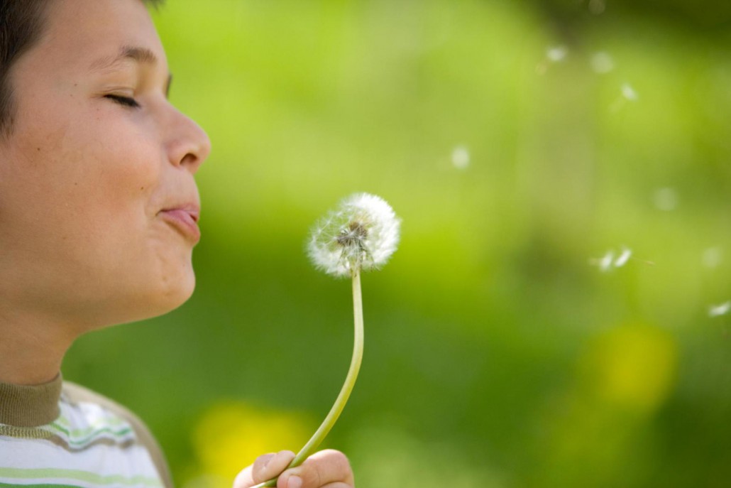 Opleiding Rouw En Verlies Begeleider - Open Mind