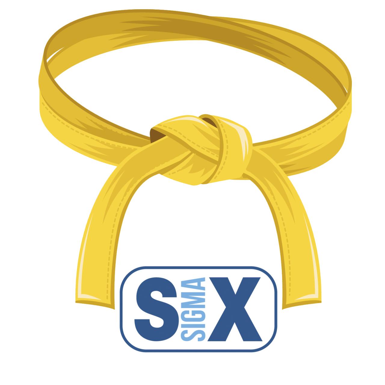 Online Yellow Belt Training | Lean Six Sigma Certification - 6Sigma.Com