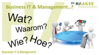 Business It & Management, The Hague University