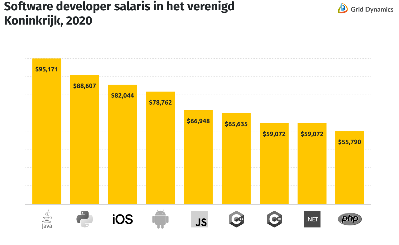 Software Developer Salarissen In De Wereld En In Nederland