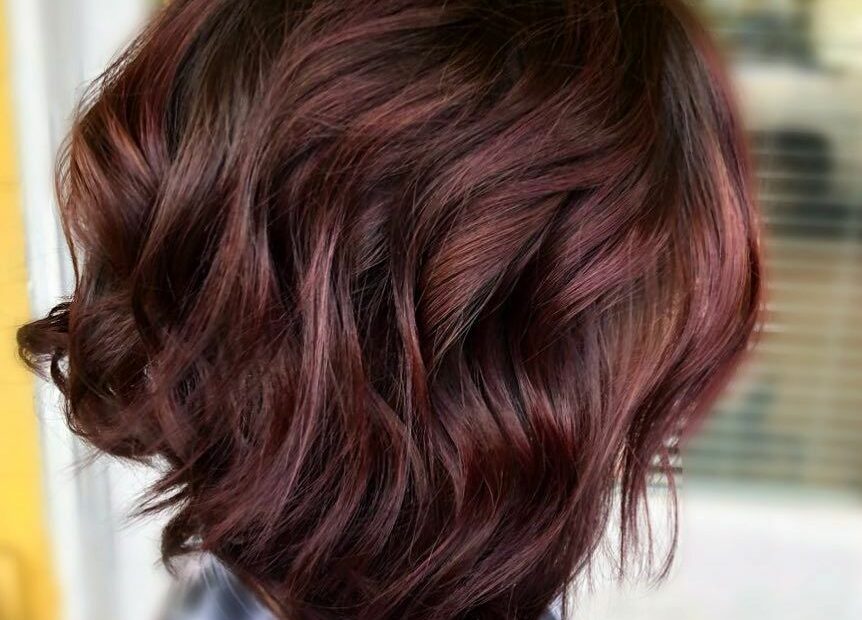 This New Hair Color Trend Will Convince You That Life Is A Box Of Chocolate  Cherries | Brunette Hair Color, Cherry Hair, Burgundy Hair