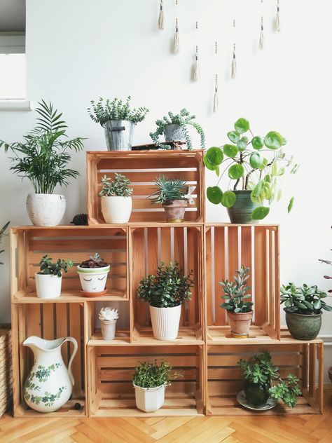 Thrifty Diy Plant Stand Ideas | Diy Plant Stand, Diy Plants, Plant Decor