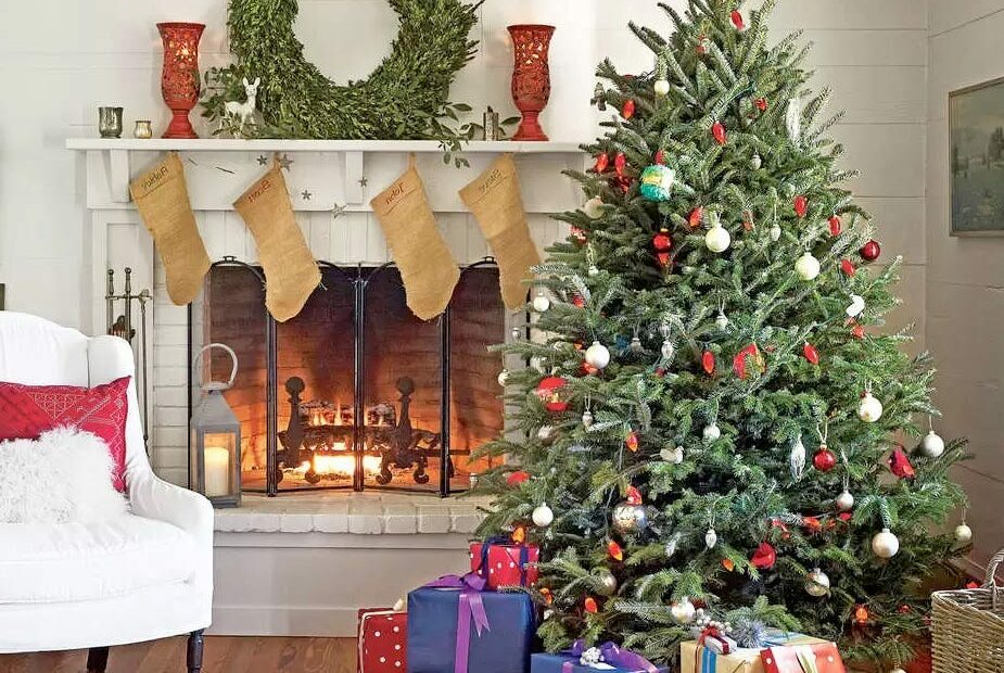 7 Best Places To Buy Live Christmas Trees Online In 2022