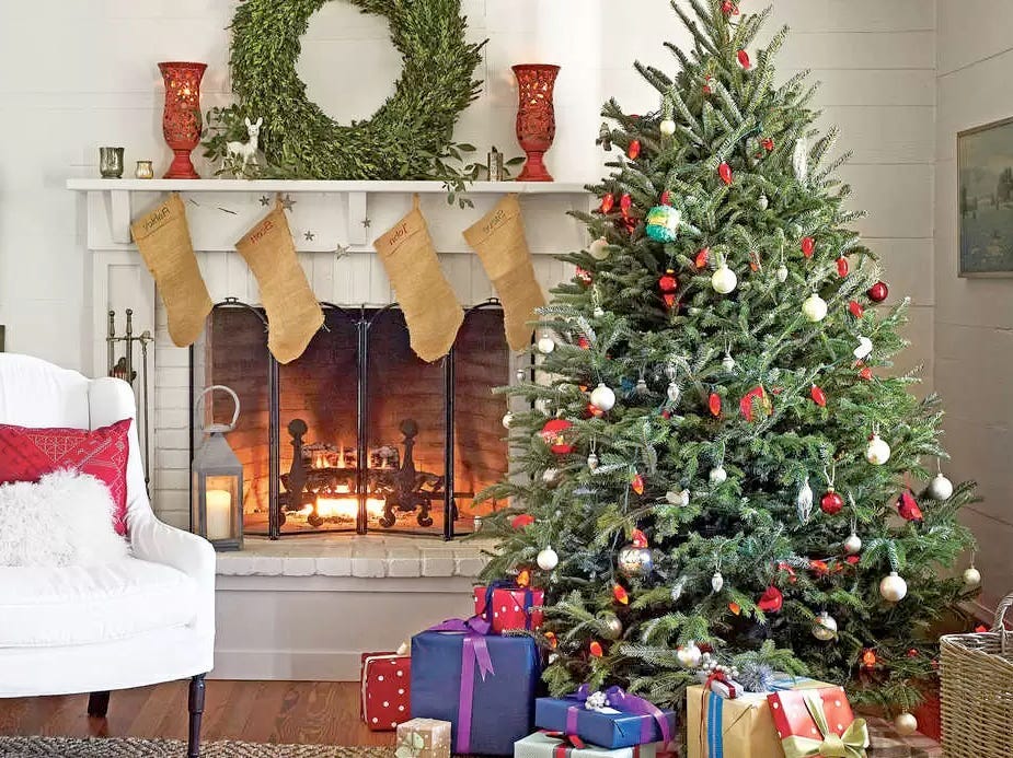 7 Best Places To Buy Live Christmas Trees Online In 2022