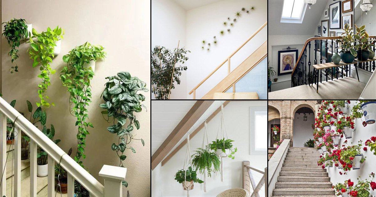 24 Inspiring Staircase Wall Decor Ideas With Plants
