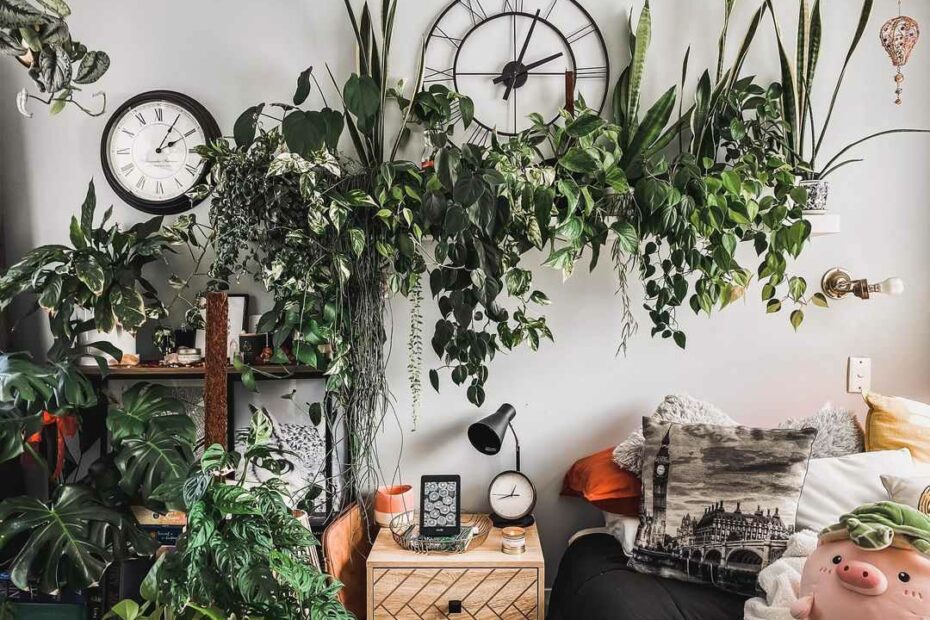 27 Great Ways To Decorate With Plants