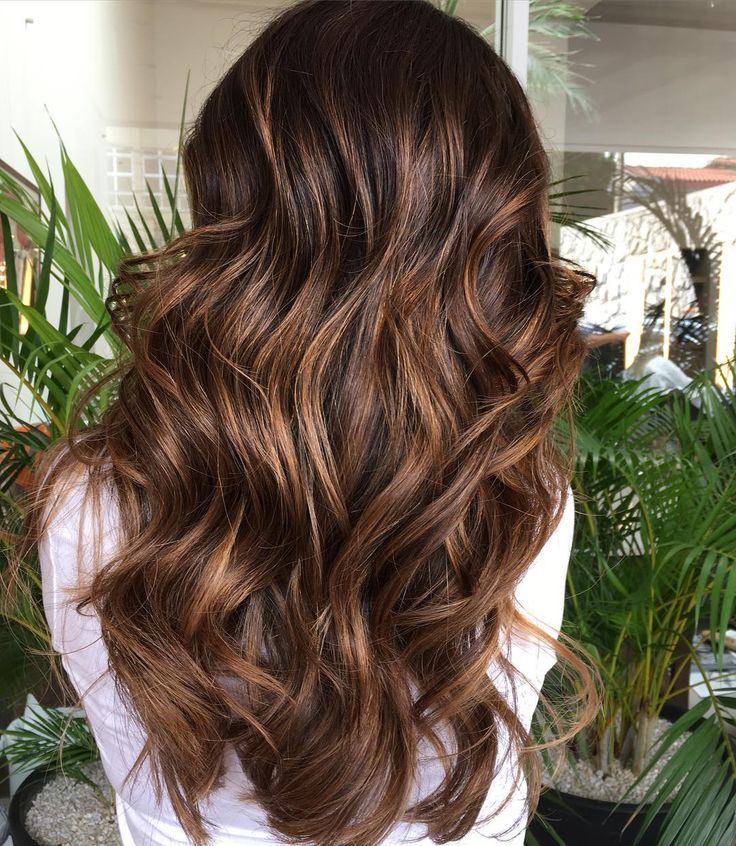 60 Chocolate Brown Hair Color Ideas For Brunettes In 2023 | Light Hair  Color, Low Light Hair Color, Light Hair