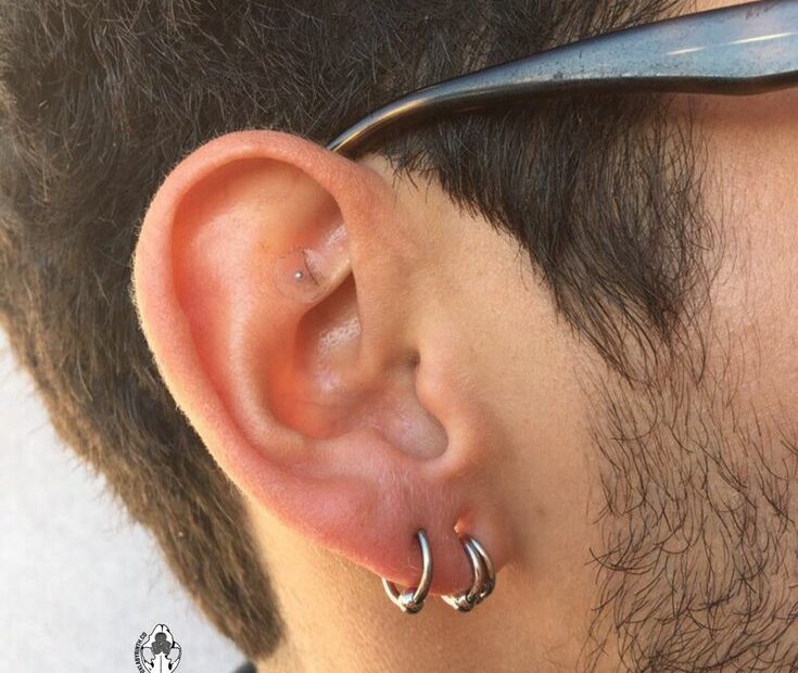 Fox Labyrinth | Piercings For Men, Guys Ear Piercings, Earings Piercings