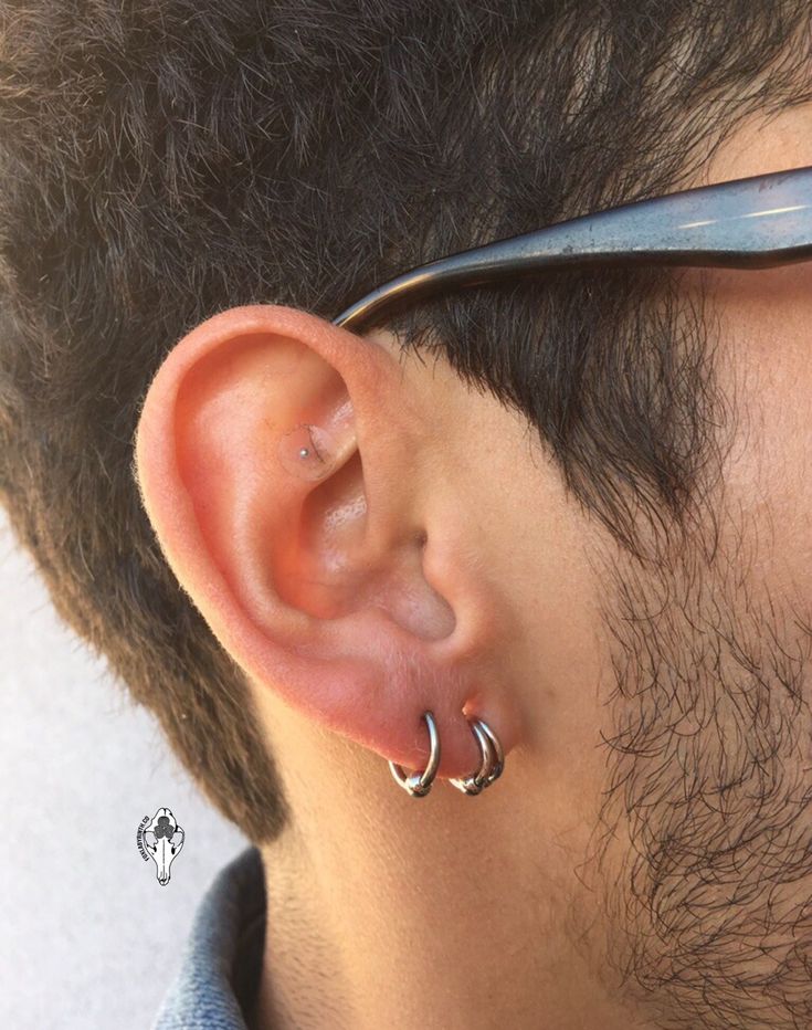 Fox Labyrinth | Piercings For Men, Guys Ear Piercings, Earings Piercings