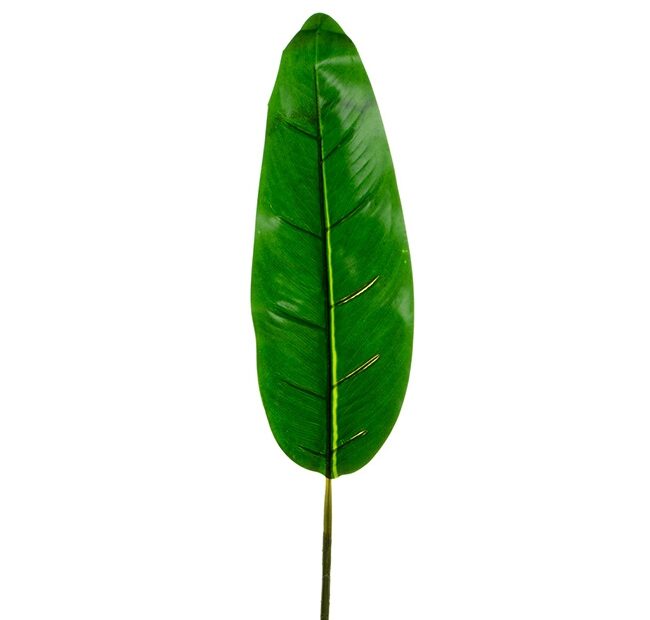 Bird Of Paradise Leaf Dark Green (85Cmh)