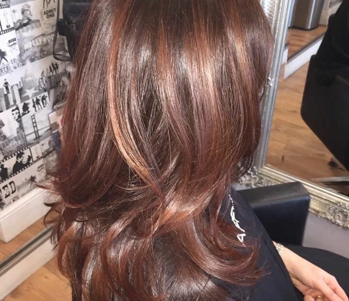 Chocolate Brown With Cinnamon Highlights | Cinnamon Hair, Perfect Hair Color,  Cinnamon Hair Colors