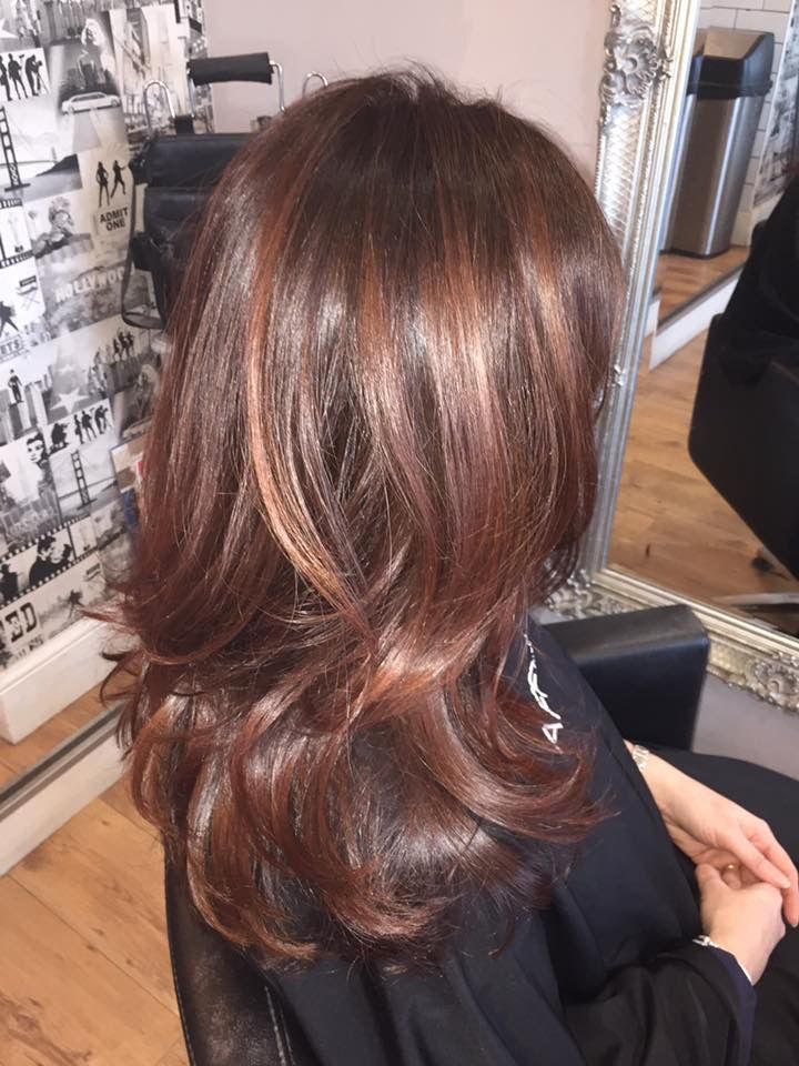 Chocolate Brown With Cinnamon Highlights | Cinnamon Hair, Perfect Hair Color,  Cinnamon Hair Colors