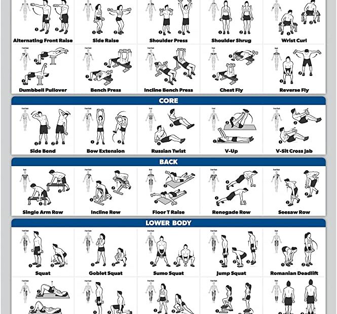 Amazon.Com: Palace Learning Dumbbell Workout Exercise Poster - Free Weight  Body Building Guide | Home Gym Chart - Laminated, 18