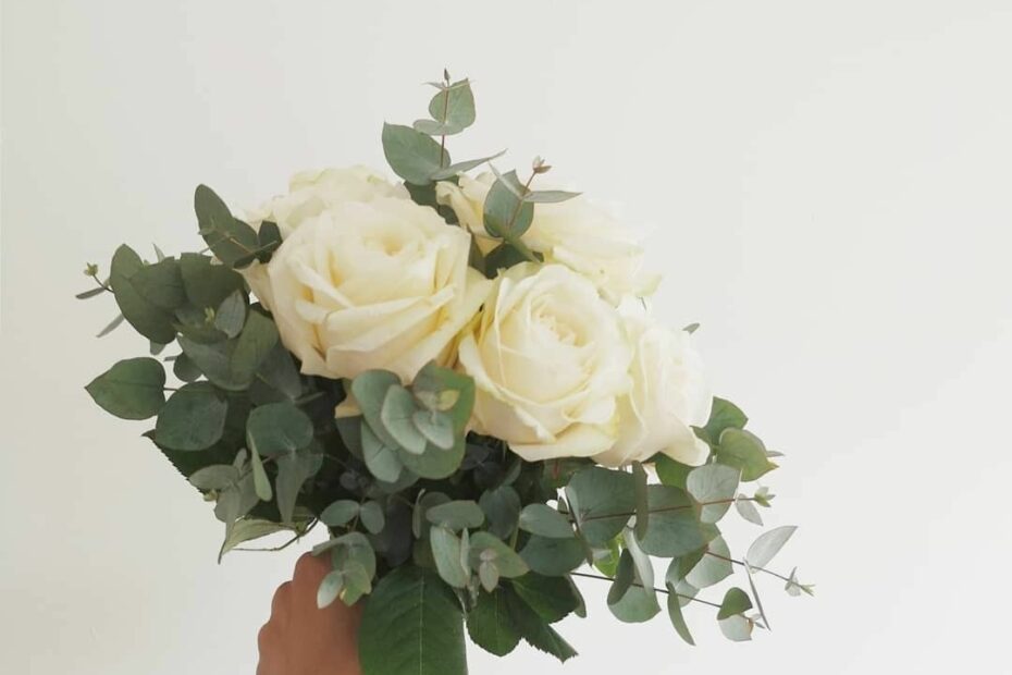 White Roses & Eucalyptus | Simple Wedding Bouquets, Small Wedding Bouquets, Wedding  Bouquets