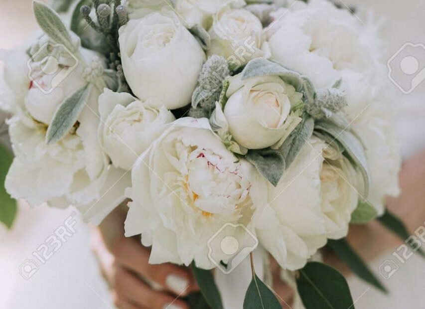 Beautiful Elegant Wedding Bouquet Of White Peonies In The Hands Of The Bride.  Vertical Stock Photo, Picture And Royalty Free Image. Image 97061924.