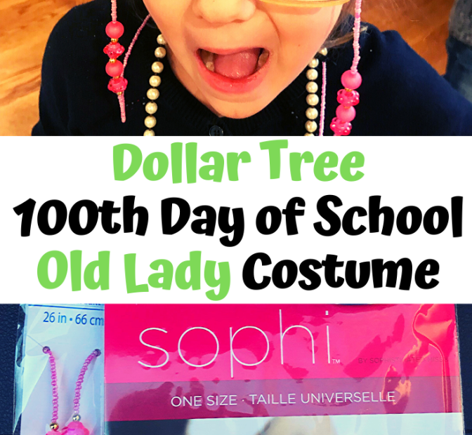 Dollar Tree 100Th Day Of School Old Lady Costume - Protecting Your Pennies