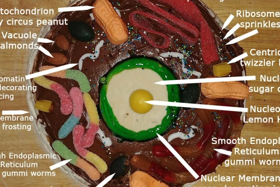Animal Cell Cake Of Celliness : 6 Steps (With Pictures) - Instructables