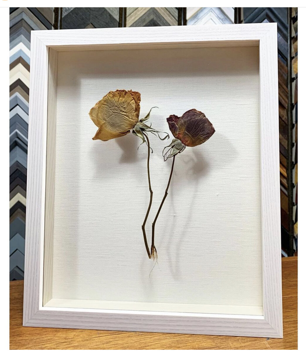 Underglass-Dried Flowers Framed After 35 Years Kept In A Book