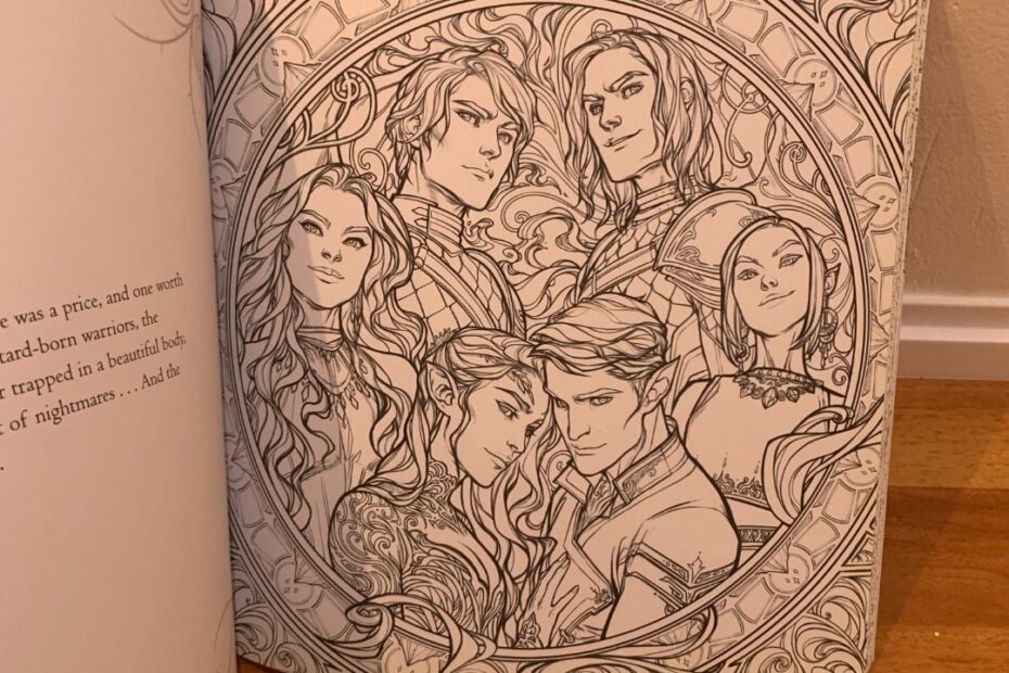 A Court Of Thorns And Roses Coloring Book By Sarah J Maas, Hobbies & Toys,  Books & Magazines, Fiction & Non-Fiction On Carousell