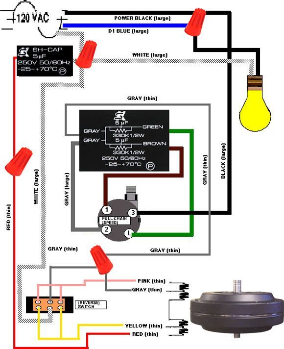 4 Wire Ceiling Fan Switch Wiring Diagram | Ceiling Fan Wiring, Ceiling Fan  Pull Chain, Ceiling Fan Switch