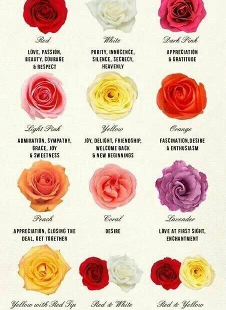 The Meaning Of Rose Colors | Rose Color Meanings, Different Color Roses,  Flower Meanings