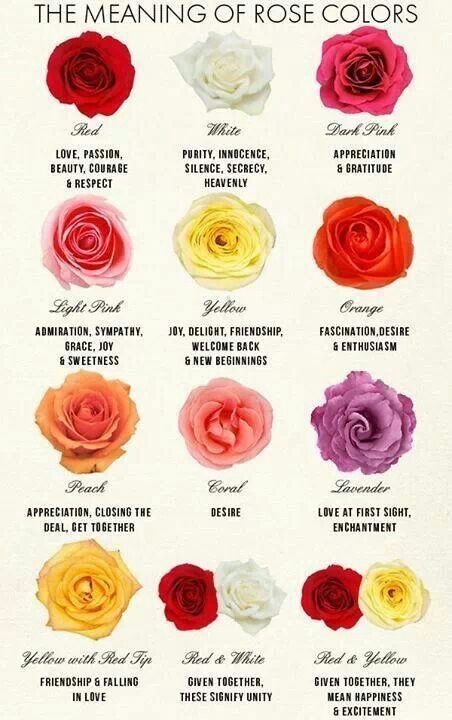 The Meaning Of Rose Colors | Rose Color Meanings, Different Color Roses,  Flower Meanings