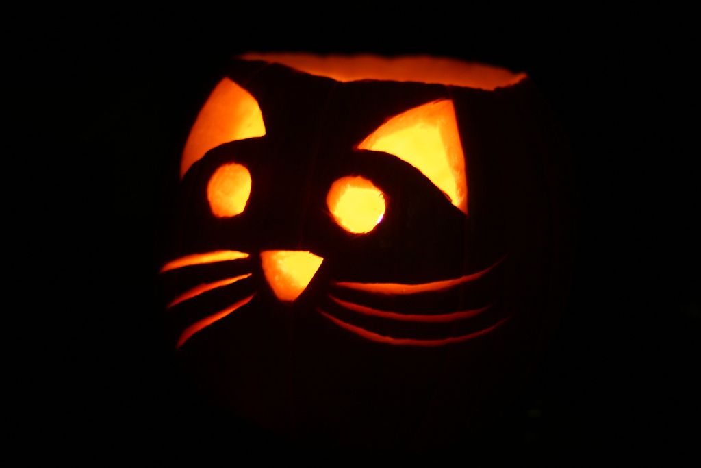 Kitty Jack-O-Lantern | Pumpkin Carving, Cat Pumpkin, Cat Pumpkin Carving