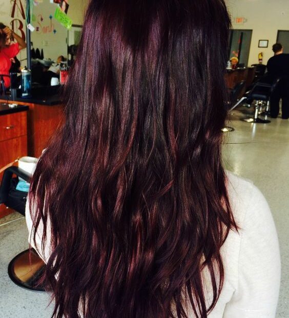 15 Black Hair With Cherry Highlights And Lowlights - Styleoholic | Black  Cherry Hair, Cherry Hair, Black Cherry Hair Color