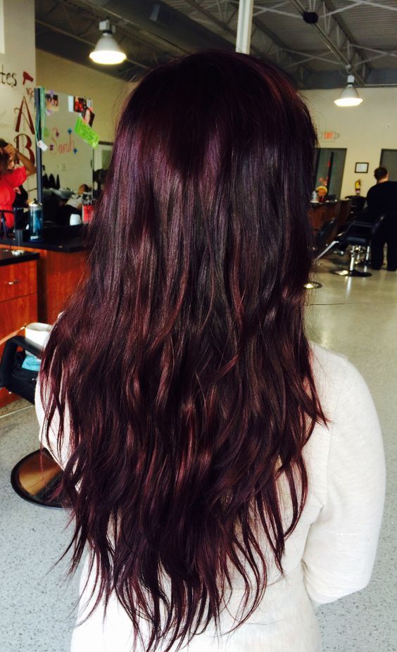 15 Black Hair With Cherry Highlights And Lowlights - Styleoholic | Black  Cherry Hair, Cherry Hair, Black Cherry Hair Color