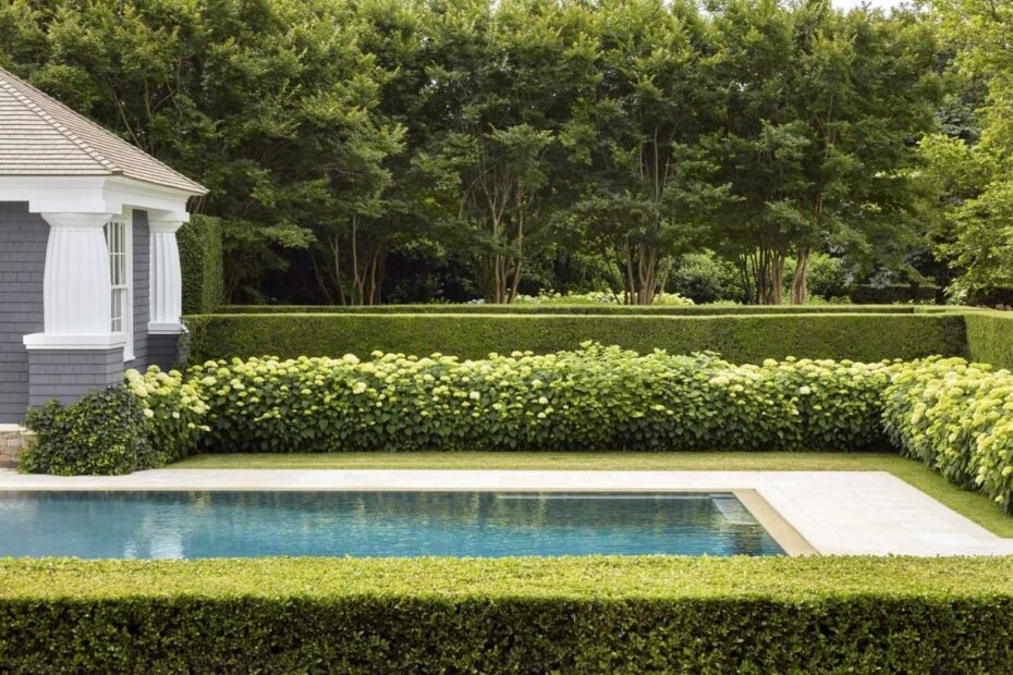 21 Boxwood Landscaping Ideas 2021 - Boxwoods For Front Yard And Backyard