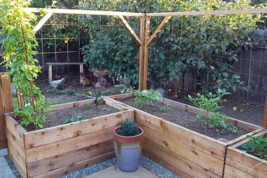 How To Build A Raised Garden Bed On Concrete, Patio, Or Hard Surface ~  Homestead And Chill