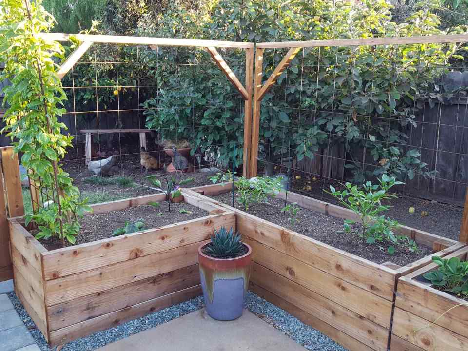 How To Build A Raised Garden Bed On Concrete, Patio, Or Hard Surface ~  Homestead And Chill
