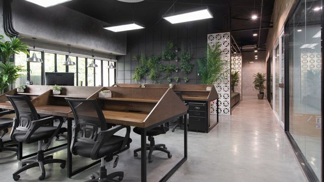 Decorate Industrial Space With Plants