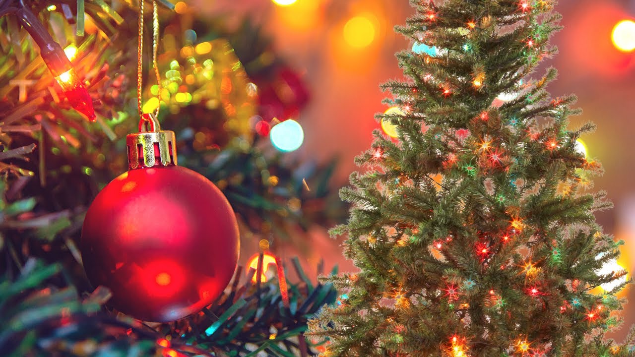 How To Use Multicolored Lights On Your Christmas Tree! - Youtube