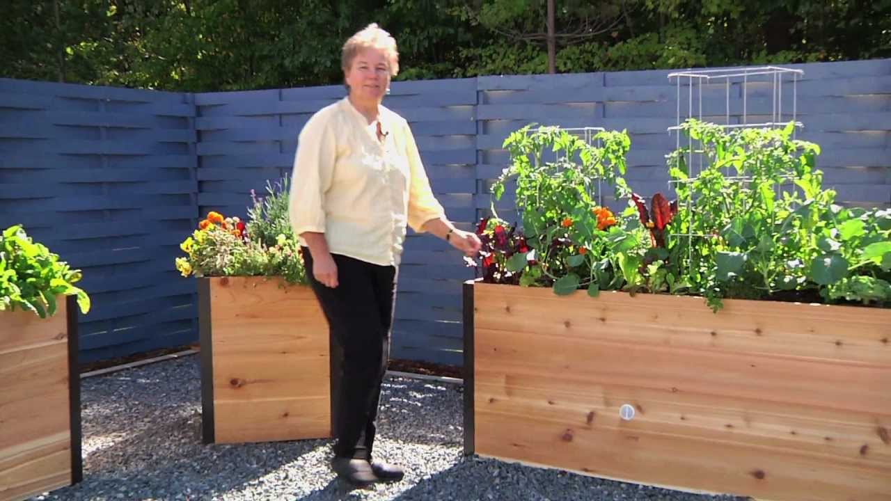 About Our Elevated Raised Beds - Youtube