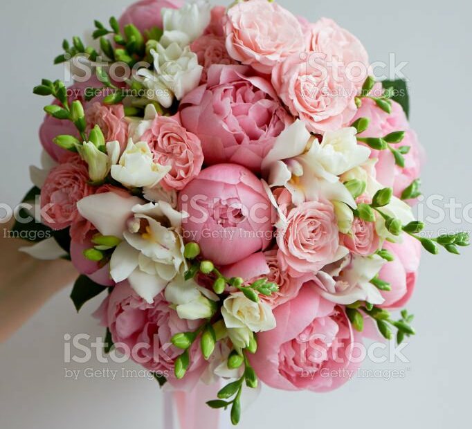 The Brides Bouquet Of Soft Pink Peonies And White Roses Wedding  Floristryclassic Form Stock Photo - Download Image Now - Istock