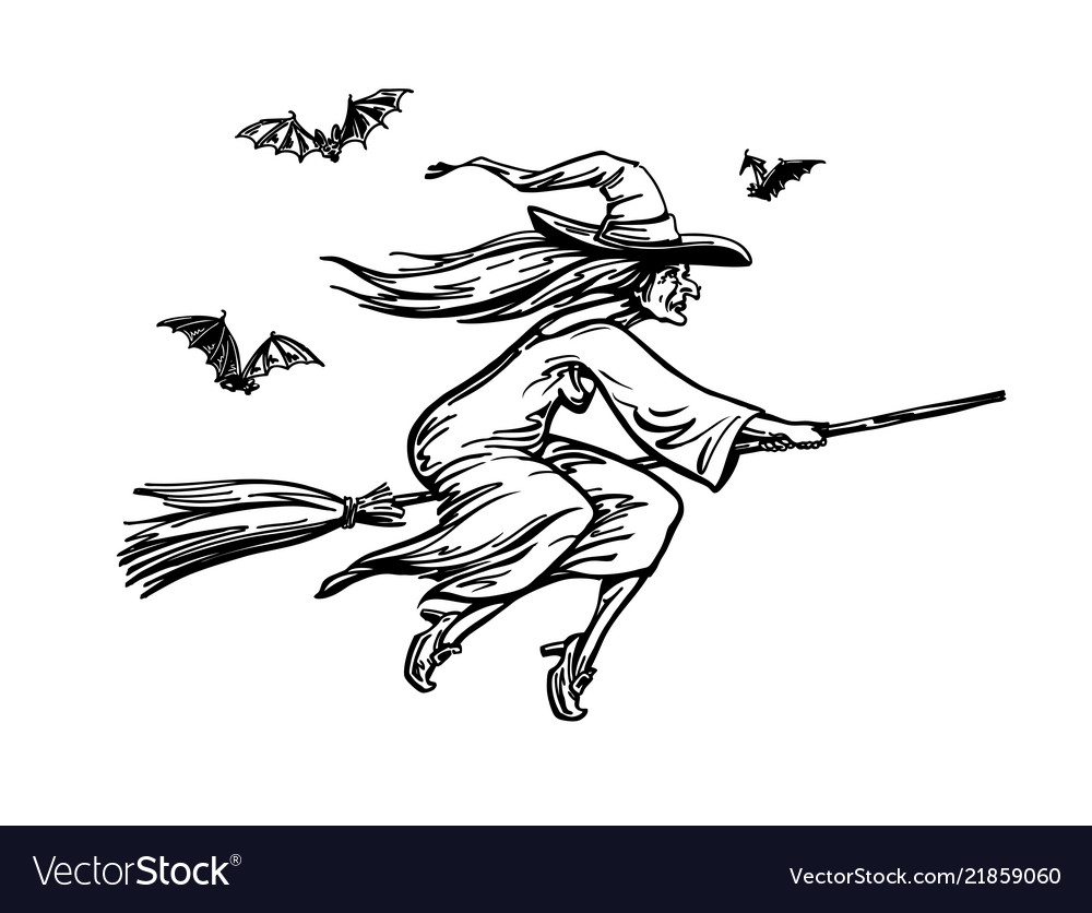 Witch Flying On Broomstick Halloween Sketch Vector Image