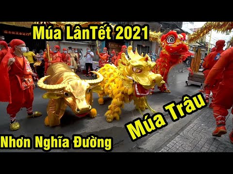 Múa Lân Hay Nhất mùng 1 Tết 2021 LSR Nhơn Nghĩa Đường Múa Trâu Quá Đẹp