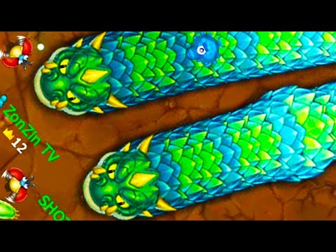 Little big snake #013 - Rắn săn mồi - Cuộc chiến của các loài rắn | Zonzin Stream