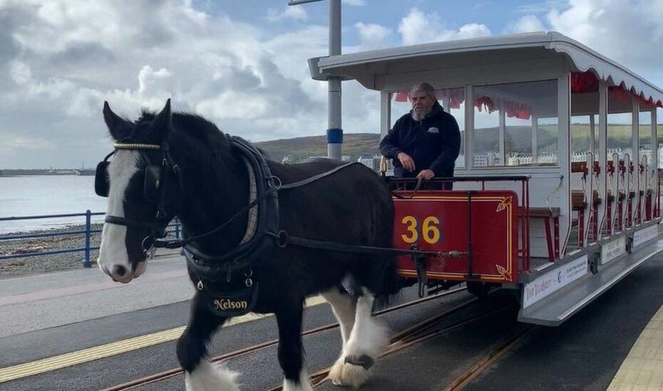 Manx Horse Trams Return To Douglas Promenade For 2023 Season - Bbc News