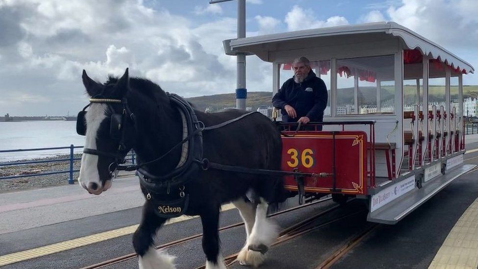 Manx Horse Trams Return To Douglas Promenade For 2023 Season - Bbc News