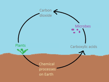 Activity And Transport Of Microbes In The Atmosphere - Microbewiki