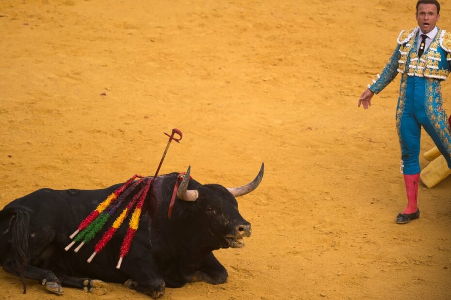 Bullfighting Still Benefits From Millions Of Euros A Year In Eu Farming  Subsidies | Bullfighting | The Guardian