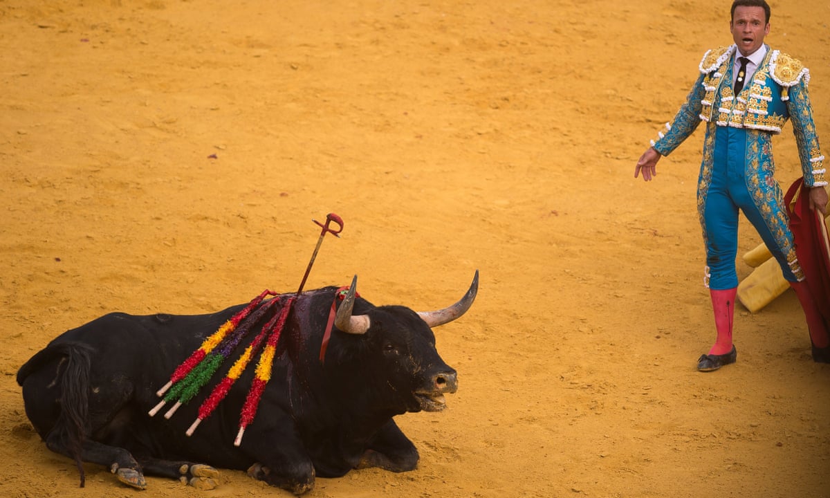 Bullfighting Still Benefits From Millions Of Euros A Year In Eu Farming  Subsidies | Bullfighting | The Guardian