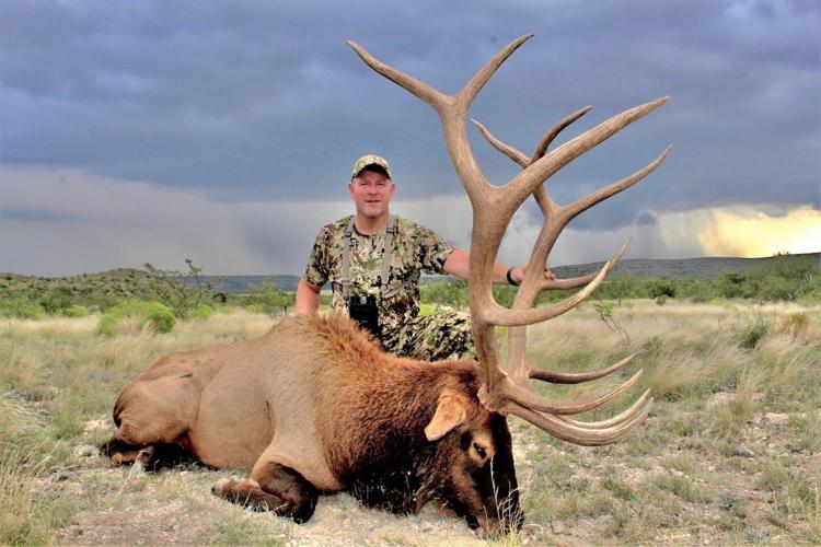 A Different Game: No Stranger To Texas, Elk Population Growing In West  Texas | News | Tylerpaper.Com