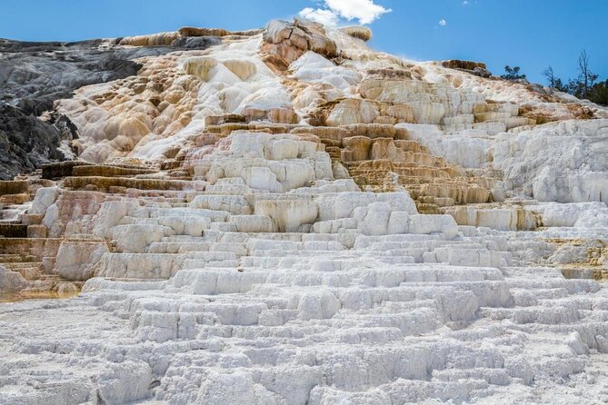 Mammoth Hot Springs - What To Know Before You Go | Viator