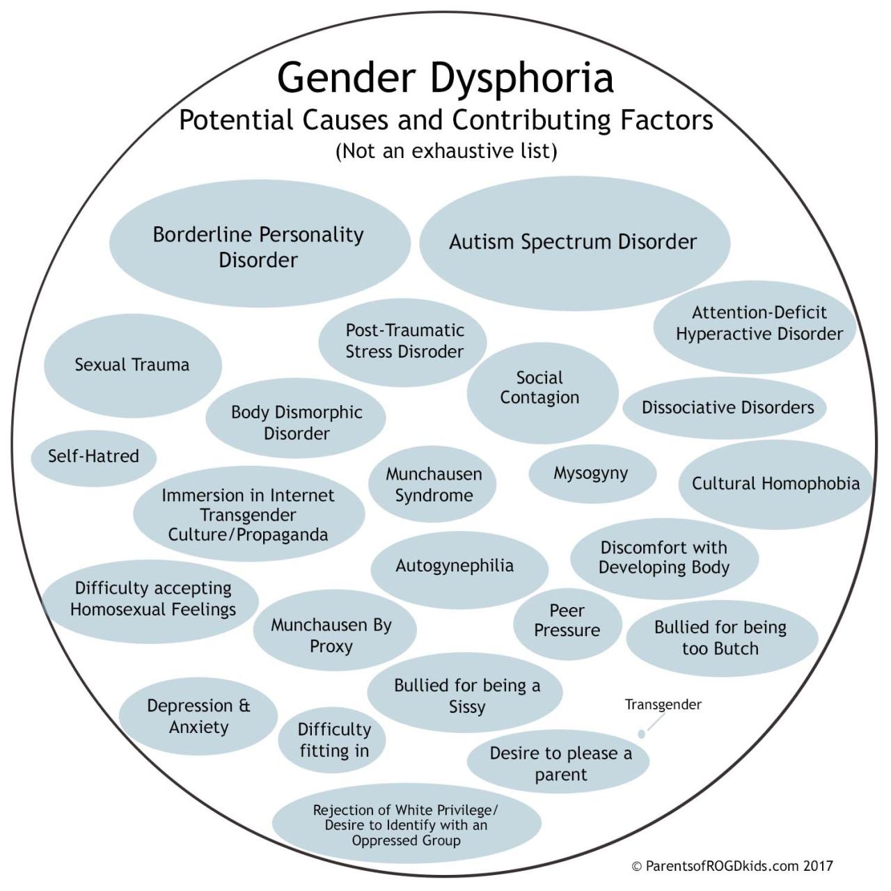 Other Known Causes For Gender Dysphoria — Rapid-Onset Gender Dysphoria  (Rogd)