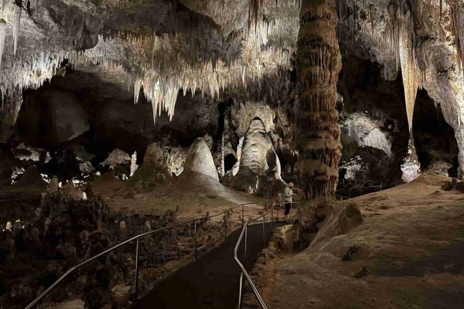 Carlsbad Caverns National Park: What You Need To Know