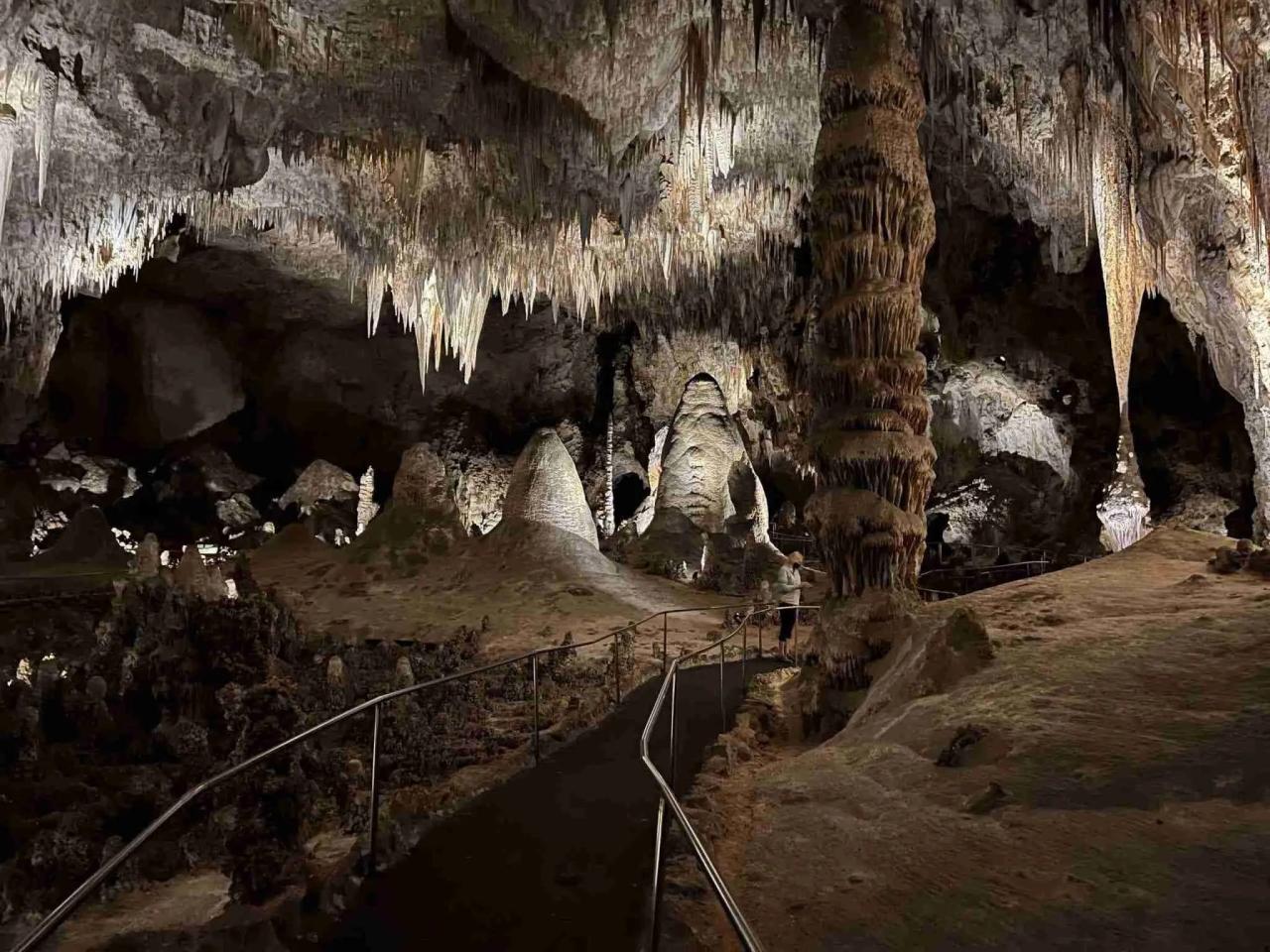 Carlsbad Caverns National Park: What You Need To Know